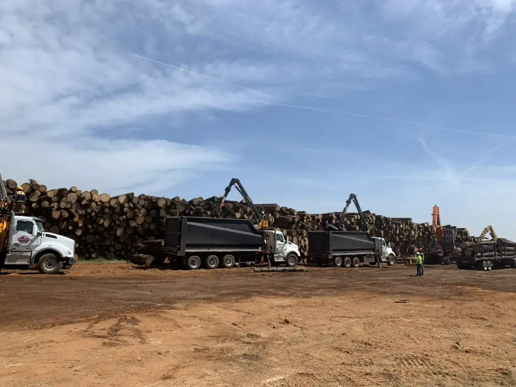 Grapple trucks lined up at a timber yard