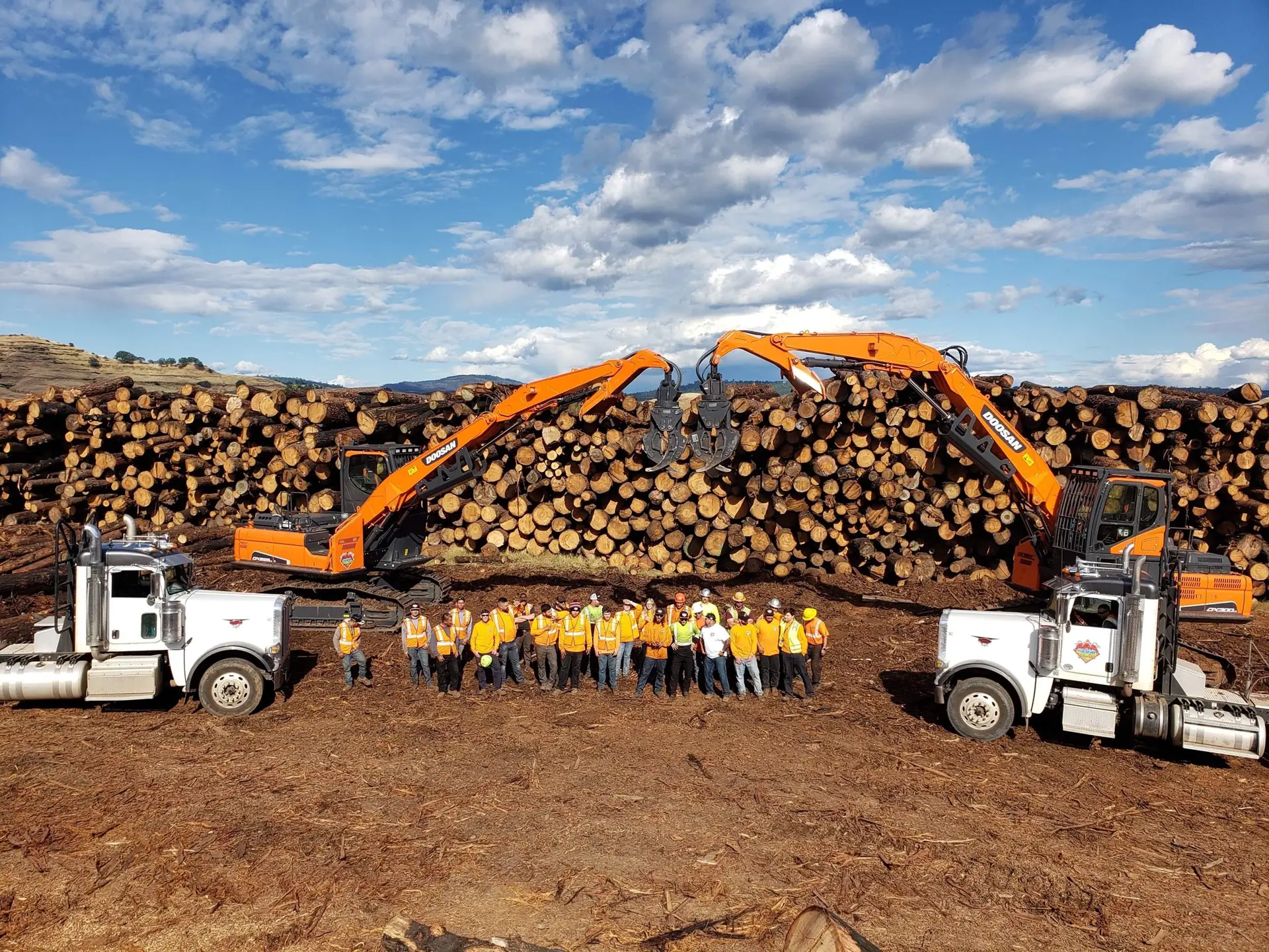 Trucks and equipment at a timber yard