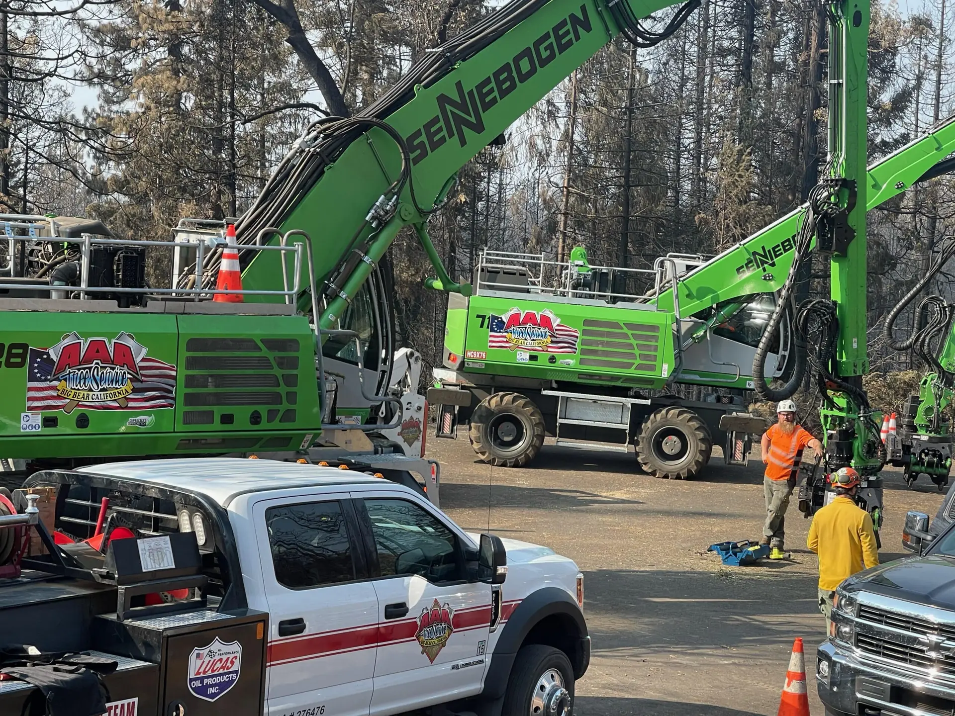 AAA Tree Service crew and specialized tree removal equipment