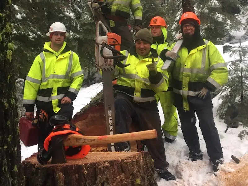 AAA tree removal crew at work