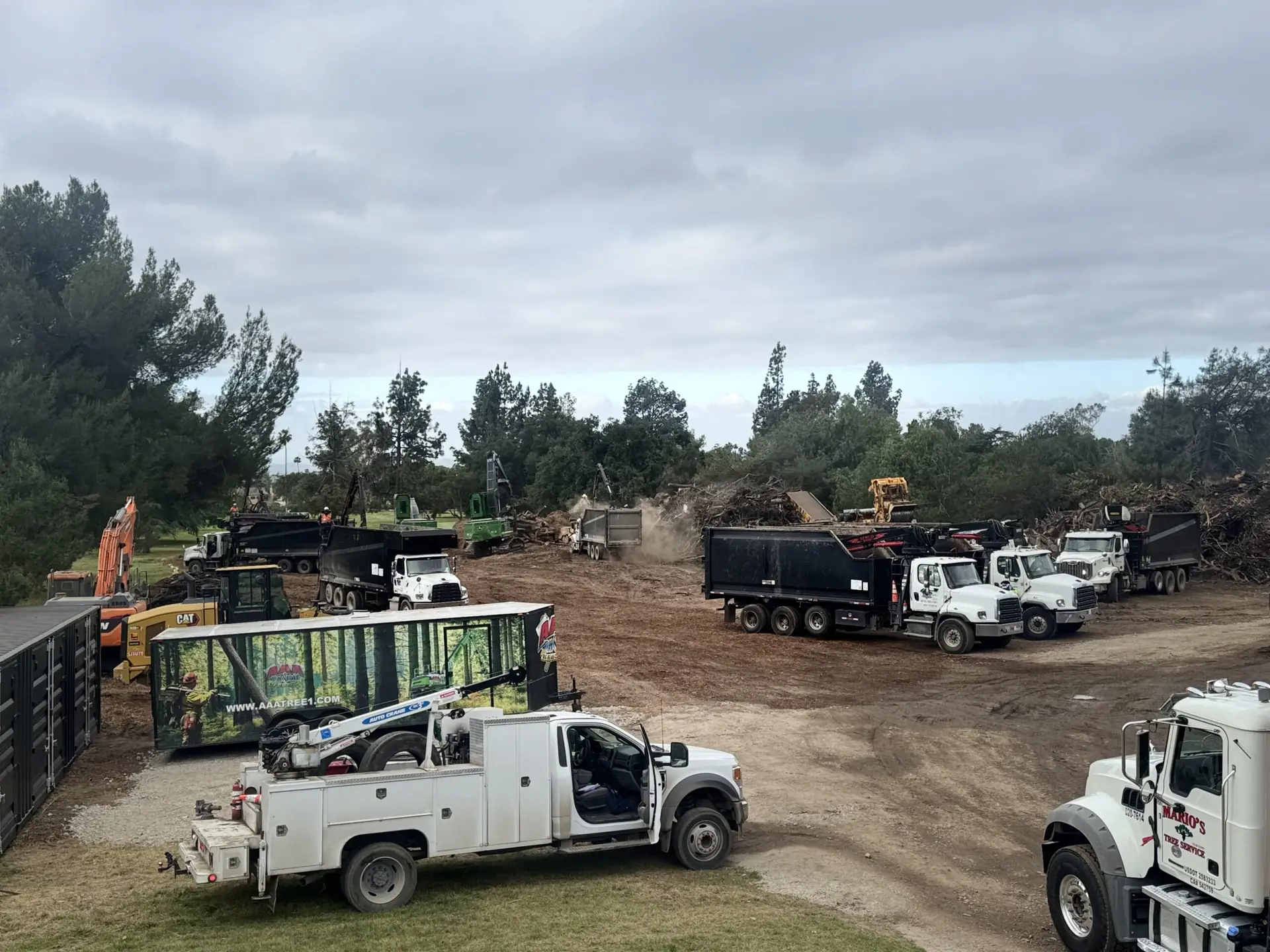 AAA fleet assembled at the wildfire cleanup site